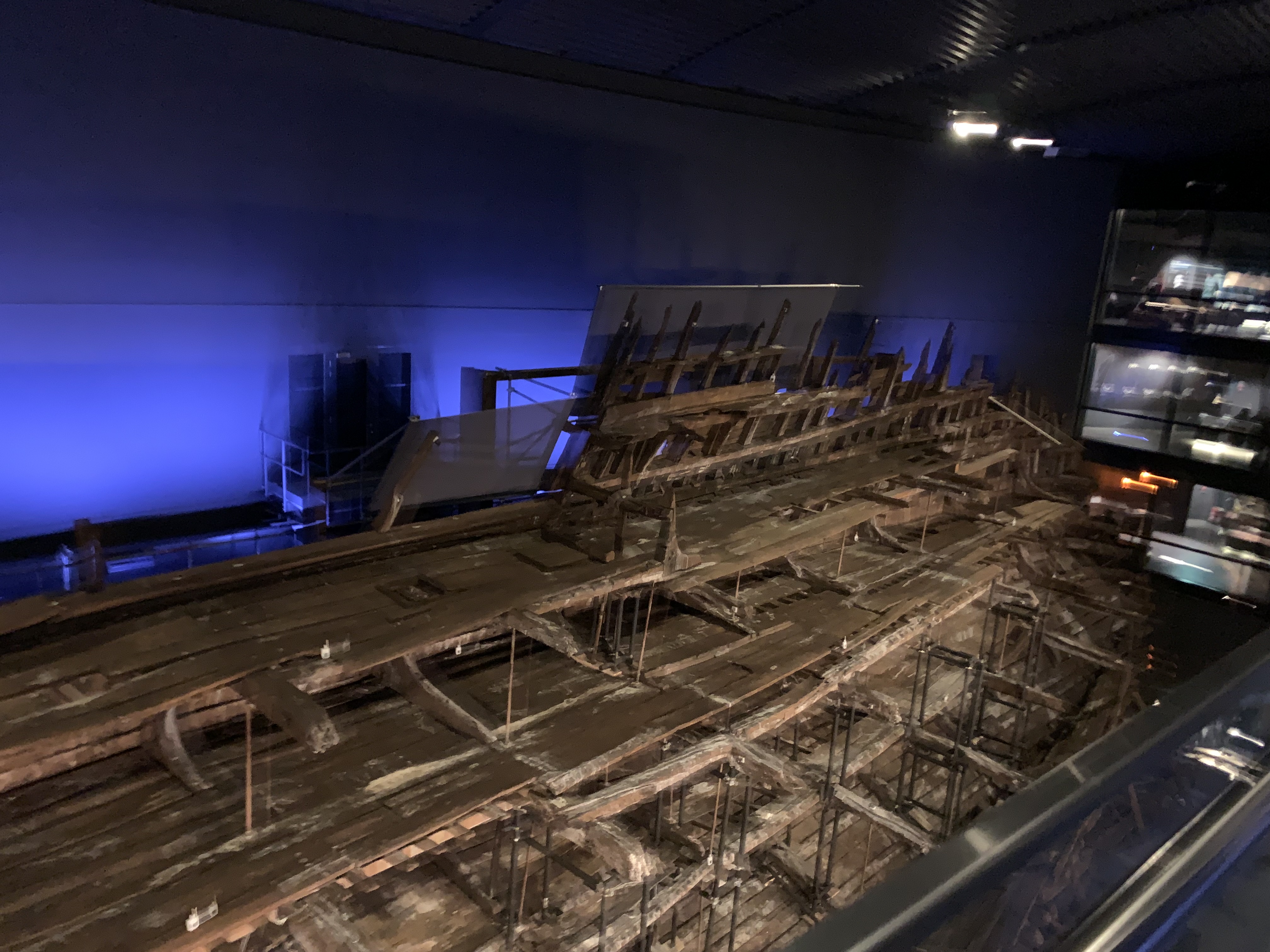 The wreck (of half of the hull) of the Mary Rose